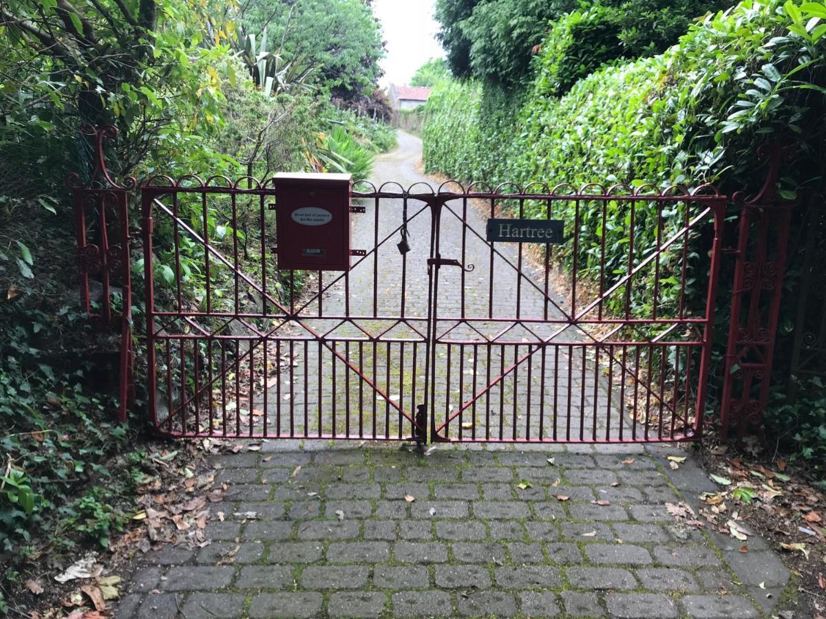 Hartree Guest House ニュートン・アボット エクステリア 写真